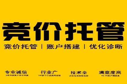 百度SEO推广策略：如何快速提升网站排名？——案例详解